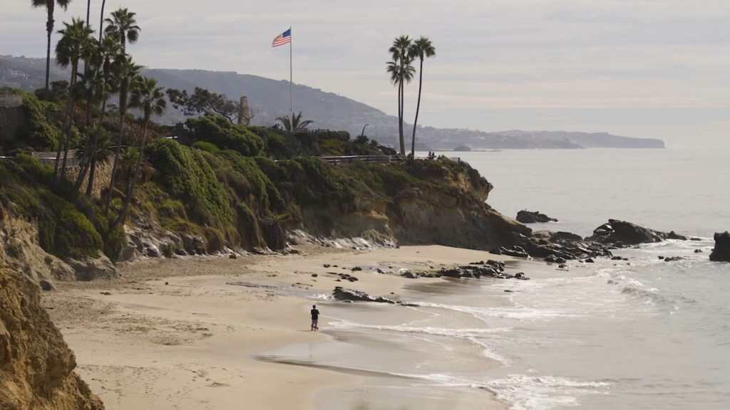 person walking their dog on a sandy beach
